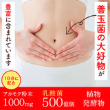 【半額】アカモクの恵（31日分 通常品）